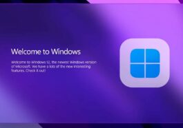 Windows 12 (1)